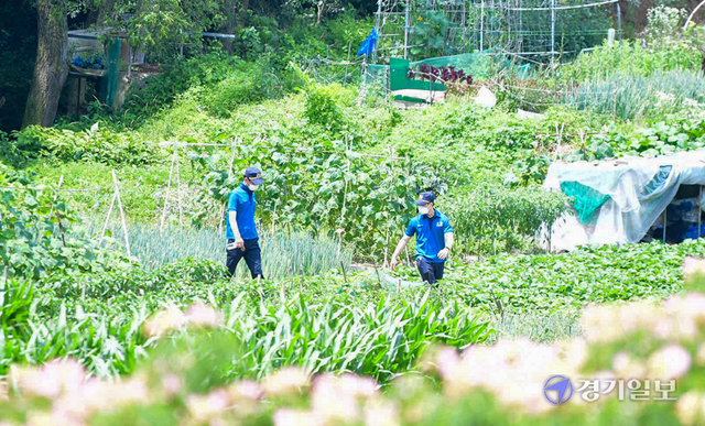 성남시 분당구 소재 서현고등학교 3학년 김휘성 군이 엿새째 실종된 가운데 27일 경찰이 오전 분당 율동공원 일대를 수색하고 있다. 조주현기자