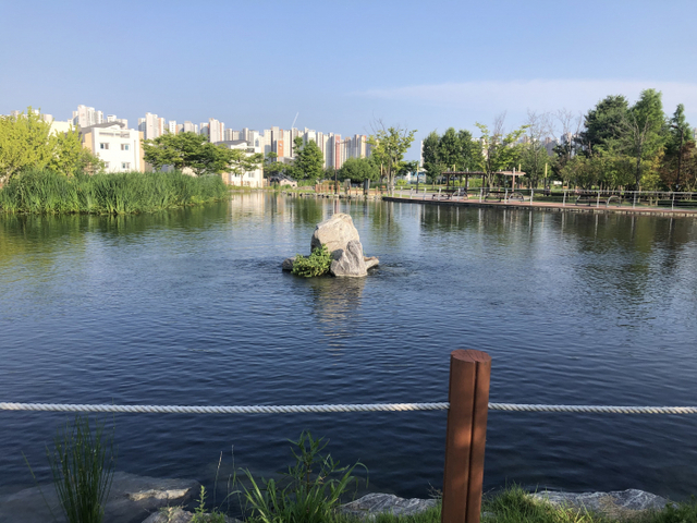 배나무 함유지