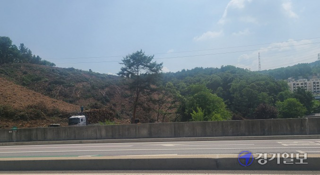지난 2일 용인시 처인구 남동 일원 공사현장에서 불법 벌목행위가 한창이다. 김현수기자