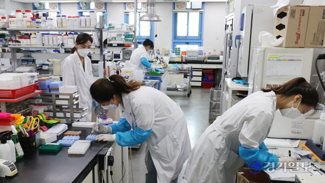 인천지역 코로나19 일일 신규 확진자가 130명을 기록하며 역대 최대치를 경신한 21일 오후 인천보건환경연구원 신종감염병과 실험실에서 연구원들이 코로나19 검체 바이러스 유전자 추출작업을 분주히 하고 있다. 장용준기자