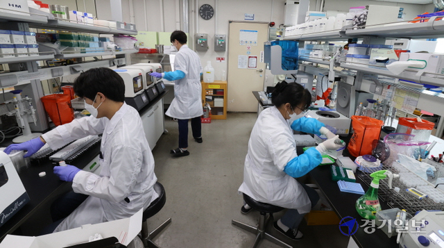 인천지역 코로나19 일일 신규 확진자가 130명을 기록하며 역대 최대치를 경신한 21일 오후 인천보건환경연구원 신종감염병과 실험실에서 연구원들이 코로나19 검체 바이러스 유전자 추출작업을 분주히 하고 있다. 장용준기자