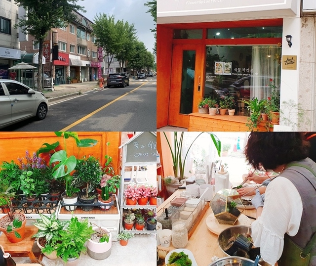 ▲지난 28일 오후 3시경 찾아간 일산 대화동 성저마을 상권은 마치 회색 빛으로 죽은듯 적막했다. 활력 잃은 이곳에 식물작업실 '라라그레이스'가 동력을 불어넣고 있다. 