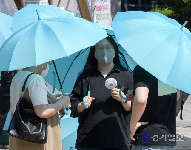 말복 맞아 폭염 나기