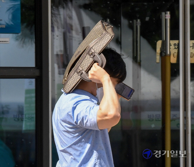 말복 맞아 폭염 나기