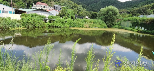 과천시가 문원저수지를 관리ㆍ운영하면서 수년간 사유지를 무단 사용해 온 것으로 밝혀졌다. 사진은 문원저수지 전경. 김형표기자