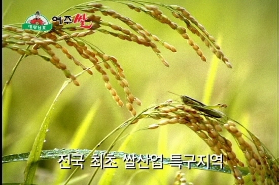 전국최초 쌀산업 특구 여주시