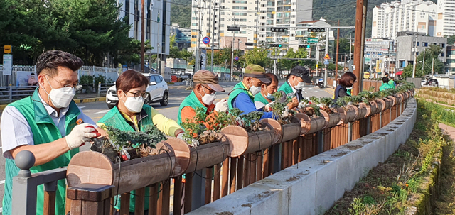 덕계천 국화 식재3