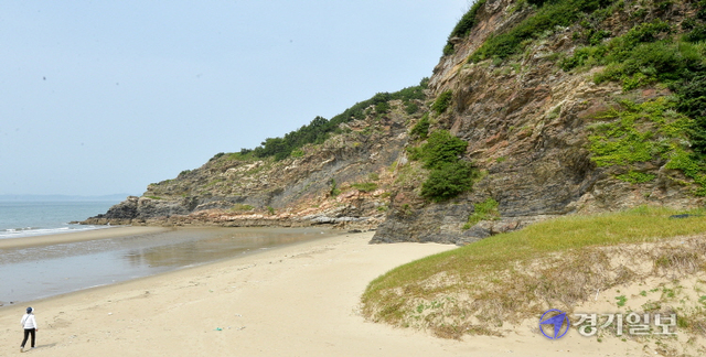 지난달 27일 오후 3시 인천 옹진군 대청도 지두리 해변에 ‘대청부채’ 1송이가 보라색 꽃잎을 활짝 피우고 있다. 대청부채는 1년 중 7~8월,  그중 오후 3시께 부터 꽃을 피우는 신비의 꽃이다. 장용준기자