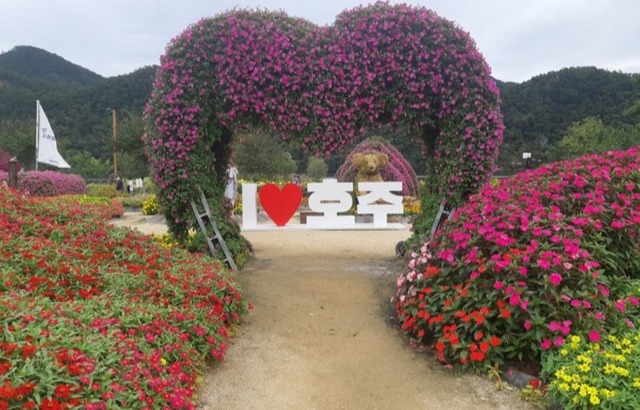 가평군은 다음달 24일까지 자라섬 남도 꽃정원을 개방한다. 사진은 자라섬 남도 꽃정원 광경. 가평군 제공