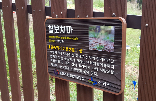 한강청, 수원시 칠보산 보호울타리에 설치된 멸종위기종 안내판
