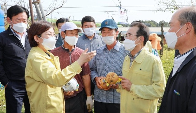 지난 3일 오전 김보라 안성시장과 이성희 농협중앙회장 등이 미양면 양변리 윤철원 과수농가를 방문, 피해상황을 점검하고 농민을 위로하고 있다. 안성시 제공