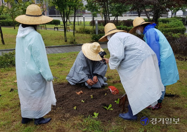 수원시 글로벌 평생학습관 프로그램 중 하나인 모두의숲 도시농부 워크숍 프로그램에 참여한 강사와 수강생들이 시연을 온라인으로 중계하고 있다.