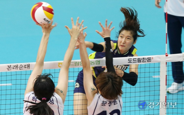 2021-2022 프로배구 V리그가 오는 16일 개막돼 6개월 대장정에 돌입한다. 사진은 지난 8월 열린 KOVO컵 여자부 준결승 수원 현대건설-김천 한국도로공사의 경기모습. 경기일보 DB