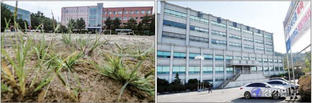 경기도내 일부 대학이 신입생 감소 및 재정난에 허덕이고 있다. 사진은 운동장에 잡초가 무성한 파주시 웅지세무대학(왼쪽)과 한산한 모습을 보이는 화성시 신경대학교. 김시범ㆍ조주현기자