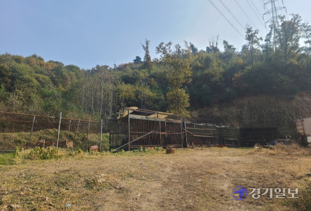 26일 오전 용인 처인구 천리 곰 사육장. 곰들이 기본적인 음식물도 섭취하지 못한 채 좁은 철창 속에 방치돼 있다. 김현수기자