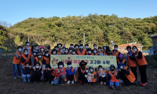 자원봉사센터 고구마 기부1
