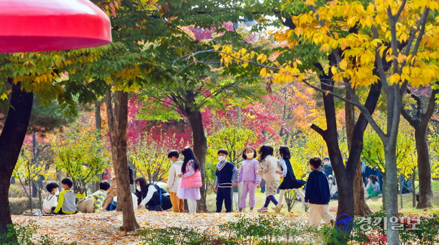 2일 오전 울긋불긋 단풍이 절정을 이룬 수원시 장안구 만석공원에서 나들이 나온 어린이들이 낙엽을 밟으며 산책하고 있다. 윤원규기자