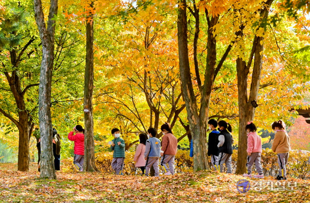 2일 오전 울긋불긋 단풍이 절정을 이룬 수원시 장안구 만석공원에서 나들이 나온 어린이들이 낙엽을 밟으며 산책하고 있다. 윤원규기자
