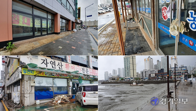 ▲지난 9일 찾은 월곶포구는 퇴적물이 쌓인 갯벌로 포구 기능을 상실하고 텅텅 빈 상가들로 을씨년스런 모습이다.