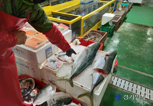 코로나19 집단감염이 발생하면서 안양농수산물도매시장 수산동과 청과동 등이 인적이 끊긴 채 한산하다. 노성우기자