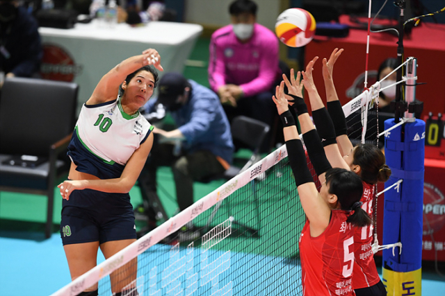 여자 프로배구 수원 현대건설의 야스민 베다르트(왼쪽)가 강스파이크를 날리고 있다. 한국배구연맹 제공