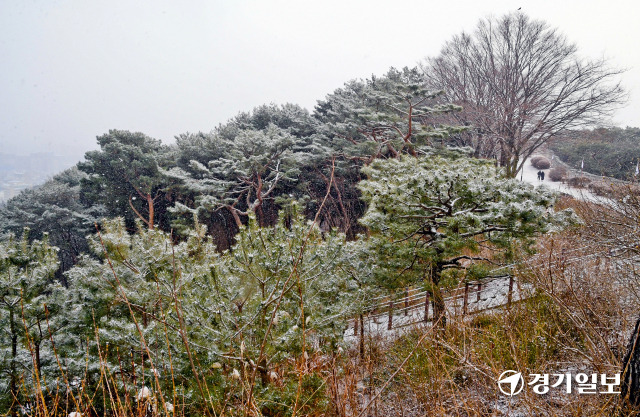경기도 곳곳에 눈이내린 17일 오후 수원 화성 서장대에서 바라본 나무들에 눈꽃이 피어 있다. 윤원규기자