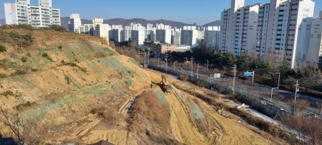 용인지역 도심 한복판서 무분별한 벌목 행위가 벌어지면서 시가 골머리를 앓고 있다. 용인시 수지구 풍덕천동 일원에서 무분별한 벌목행위가 한창이다. 독자 제공