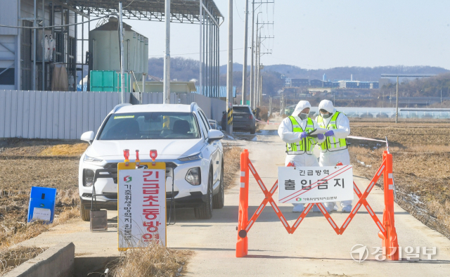고병원성 조류인플루엔자(AI) 의심사례가 신고된 평택시 한 산란계 농장에서 8일 오후 방역관계자들이 농장 출입을 통제하고 있다. 윤원규기자