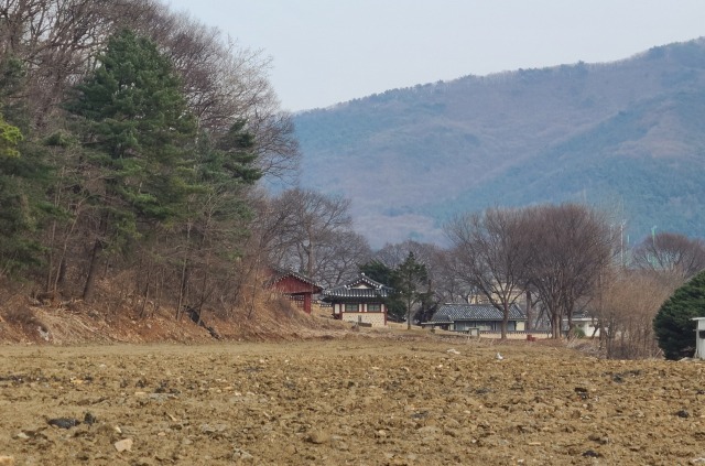 우계 성혼 선생 생가인 파주시 파평면 눌노리 죽우당과 우계서실 터가 사라질 위기에 놓이면서 문화재 파괴 논란이 일고 있다.사진은 우계서실 터로 추정되는 토지. 차문성 파주문화원 향토문화연구소장 제공
