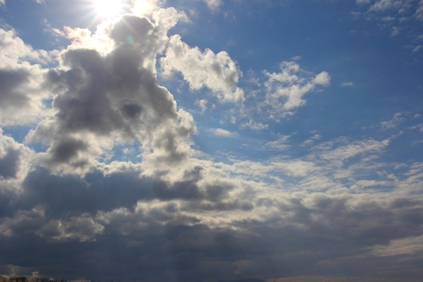 IT_twi001t1367023_l