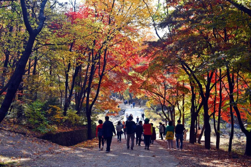 서울대 관악수목원. 안양시 제공
