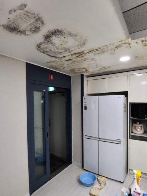 27일 오전 미추홀구 숭의동 한 오피스텔 15층 집의 천장에 거뭇한 곰팡이가 슬어 있다. 미추홀구 전세사기 피해대책위원회 제공
