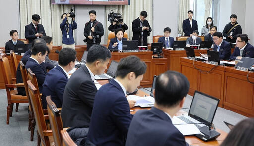 남인순 정치개혁특별위원회 위원장이 5일 오전 국회에서 열린 정치개혁특별위원회 전체회의를 주재하고 있다. 연합뉴스