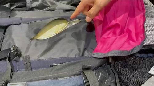 백팩에 숨긴 7억원대 필로폰. 인천지검 제공