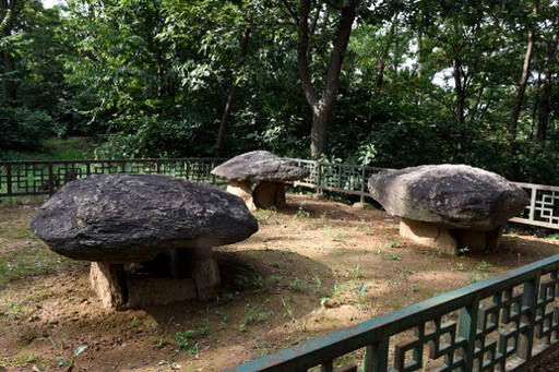 파주 덕은리 고인돌군은 덮개돌과 고임돌 4개를 포함한 매장주체부가 거의 완전한 상태로 남아 있다. 파주시 제공