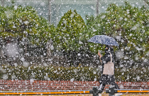 경기일보DB