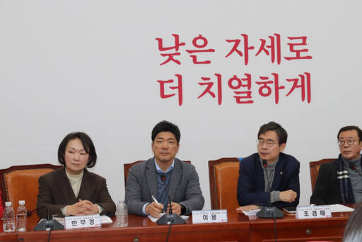 국민의힘 뉴시티 프로젝트 특위 회의 장면. 이용 의원실 제공