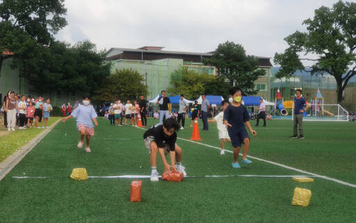 자료사진. 경기일보DB