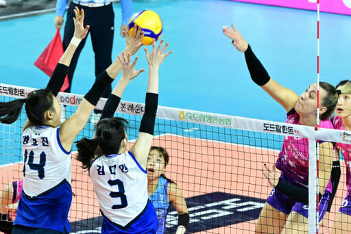선두 경쟁을 벌이고 있는 여자 프로배구 수원 현대건설과 인천 흥국생명이 오는 31일 시즌 4번째 대결을 펼친다. 사진은 지난 2라운드 두 팀간 맞대결 모습.KOVO 제공