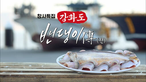 OBS 창사특집 ‘강화도 밴댕이傳’…방송 예고. OBS 제공