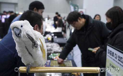 주말은 가족과 함께 희귀 동물 보러 가요 [포토뉴스]