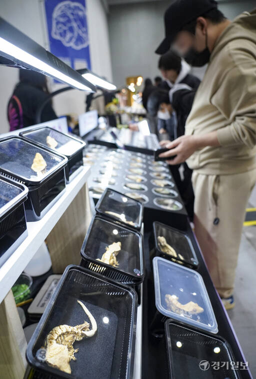 주말은 가족과 함께 희귀 동물 보러 가요 [포토뉴스]