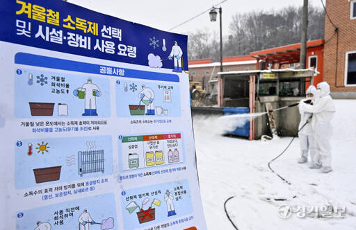 경기도, 아프리카돼지열병 방역관리 강화 [포토뉴스]