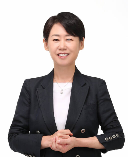 조성은 예비후보 조성은 예비후보 제공