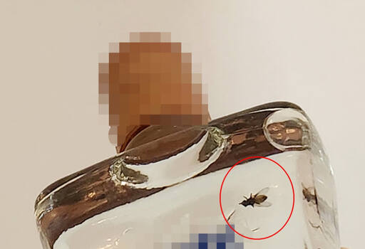 파리 모양의 이물질이 들어 있는 중국산 고량주. 연합뉴스