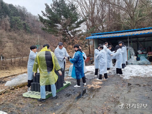 물골안공동체(회장 이희원)와 남양주연탄은행(대표 최정모)이 7일 수동 지역의 소외된 어르신들이 따뜻한 겨울철을 보낼 수 있도록 연탄 3천장을 10가구에 전달했다. 사진은 링네트 직원들이 연탄을 옮기고 있는 모습. 이대현기자