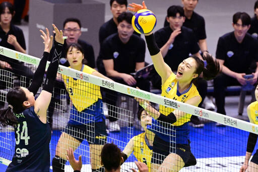 28일 수원체육관에서 벌어진 여자 프로배구 서울 GS칼텍스와의 경기서 수원 현대건설 양효진이 공격하고 있다.KOVO 제공