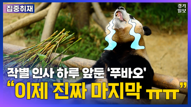 240302_굿바이푸바오_일반