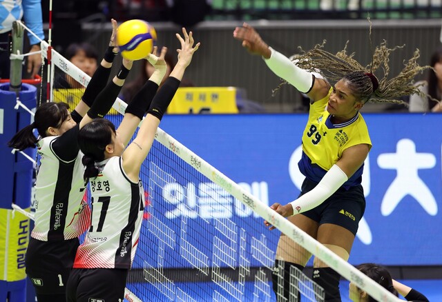 2일 수원체육관에서 벌어진 여자 프로배구 경기에서 수원 현대건설 모마가 대전 정관장 블로킹을 뚫는 강타를 날리고 있다.발리볼코리아닷컴 제공