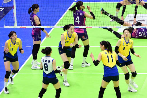 여자 프로배구 1,2위 수원 현대건설과 인천 흥국생명이 정규리그 우승의 향방을 가를 시즌 최종 맞대결을 펼친다.KOVO 제공